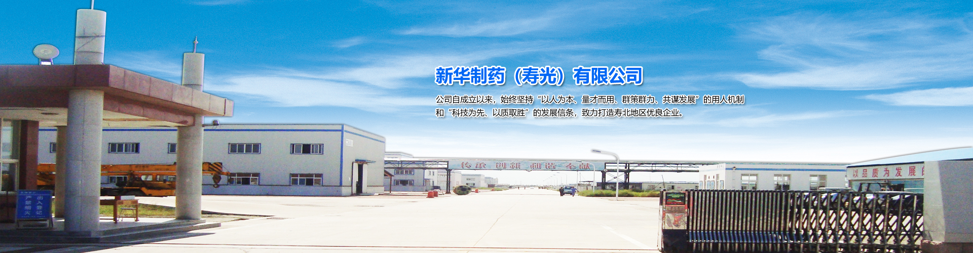 化學(xué)原料藥